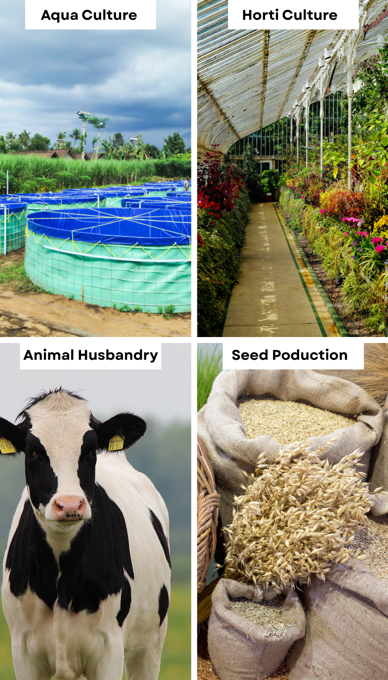Agriculture